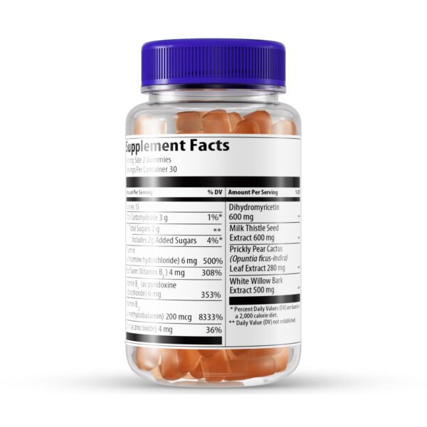 Revitalizer Party Recovery Gummies - Image 2
